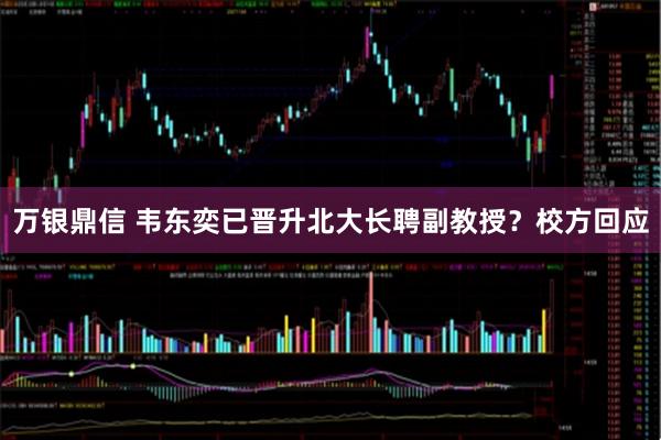 万银鼎信 韦东奕已晋升北大长聘副教授？校方回应