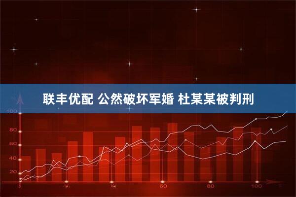联丰优配 公然破坏军婚 杜某某被判刑