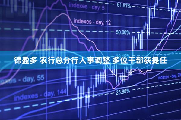 锦盈多 农行总分行人事调整 多位干部获提任
