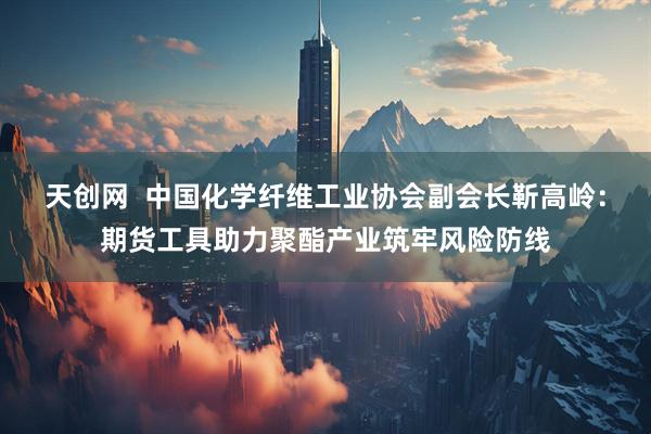 天创网  中国化学纤维工业协会副会长靳高岭：期货工具助力聚酯产业筑牢风险防线
