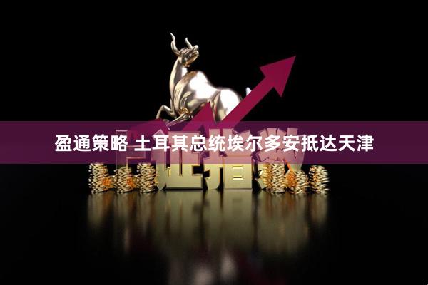 盈通策略 土耳其总统埃尔多安抵达天津