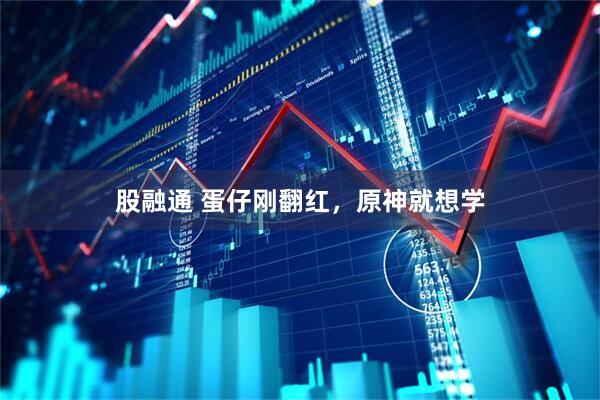 股融通 蛋仔刚翻红，原神就想学